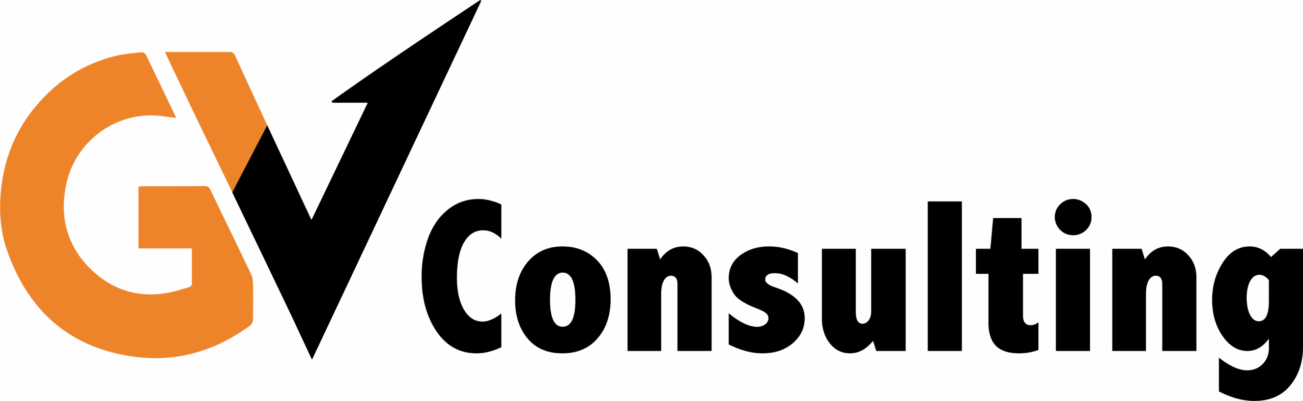 GVConsulting